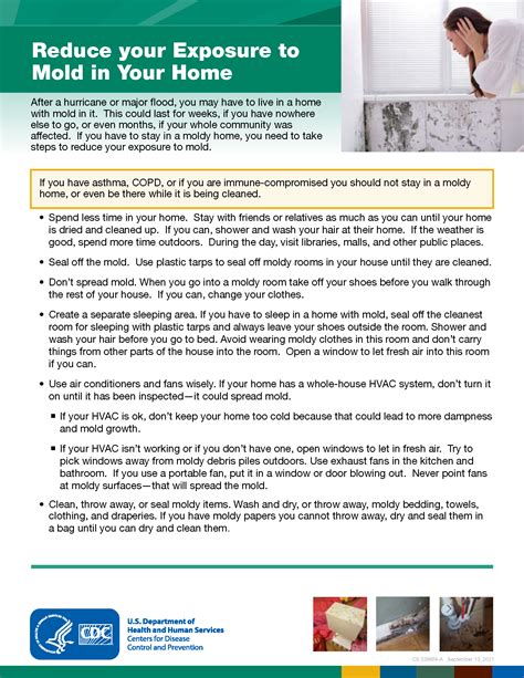 Reducing Your Exposure To Mold - Illinois