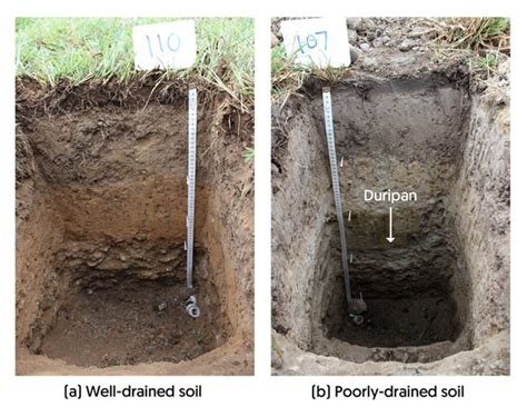 Reducing water use and nitrogen loss under irrigated cropping