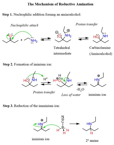 Reductive Amination - an overview ScienceDirect Topics