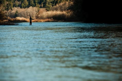 Redwood Creek Fly Fishing Guide - WWGS