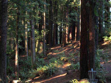 Redwood Curtain
