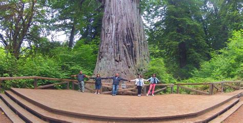 Redwood National Park Tours & Vacation Packages in