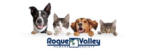 If you’re an animal lover, you may be wondering how you can help out your local humane society. Donating is a great way to show your support and make a difference in the lives of animals. Here are some ways you can donate to your local huma.... 