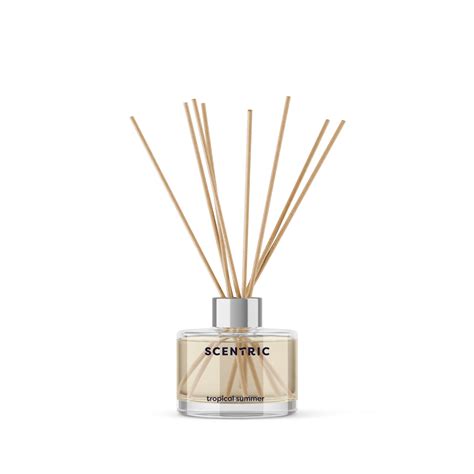 Reed Diffuser Oil Tropical - FizzyWhiz