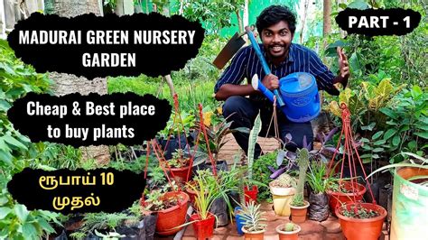 Reed Green  Madurai