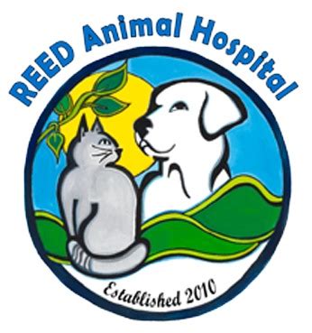 Reed animal hospital. Things To Know About Reed animal hospital. 