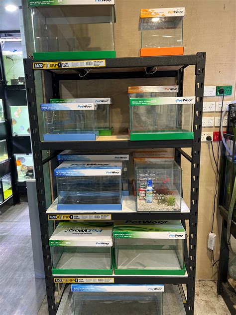 Reef fish center.  We import Home View mode: Sort by: Live Fish Shipping B...