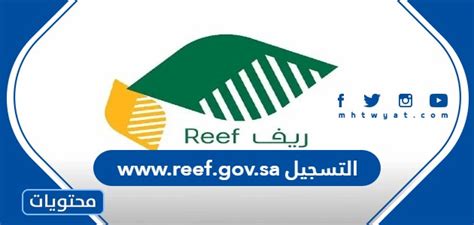 Reef gov sa التسجيل