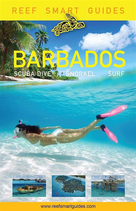Full Download Reef Smart Guides Barbados Scuba Dive Snorkel Surf By Peter Mcdougall