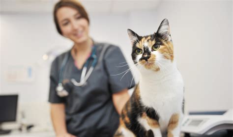 Referrals - Advanced Vet Care