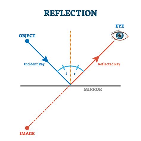 Reflecting Definition & Meaning Dictionary.com