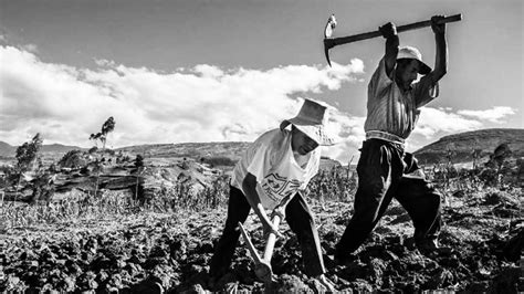 Reforma agraria y el bienestar rural. - The pocket guide to critical thinking.