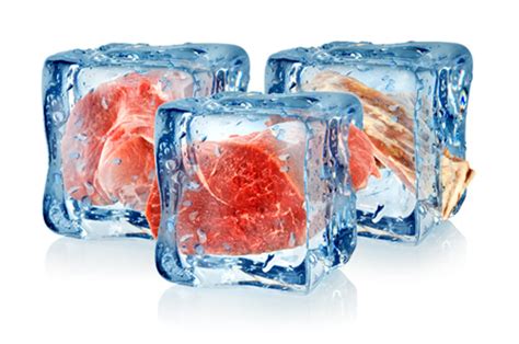 Refrigeracion, congelacion y envasado de los alim. - Guía de excursiones botánicas en tabasco, méxico.