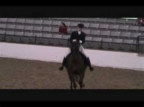 Region 14 Half-Arabian Show Hack - YouTube