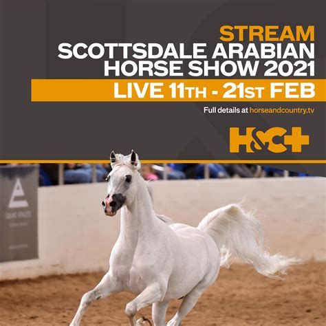 Region 14 arabian horse show live feed. Event in Ocala, FL by Horse Vans on Tuesday, April 30 2024 