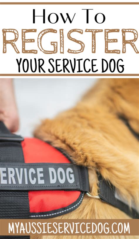 Register a service dog. Registrations are typically done online and require just a few steps to complete: 1. Type the name of the service dog handler. The handler is typically the owner or the person responsible for the dog’s care. 2. Type in your service dog’s name. This is the name he would most likely respond to. 3. 
