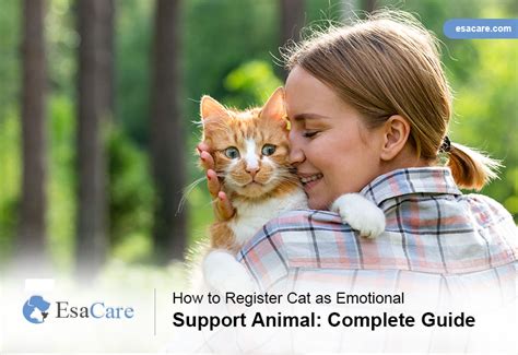 Register cat as emotional support animal. What Disabilities Qualify for an ESA Cat?. People with mental health or emotional disorders may find that their pet helps alleviate some of the symptoms of their condition. In these cases, a mental health professional such as a therapist, psychologist, or psychiatrist will prescribe a pet, such as a cat, as an emotional … 