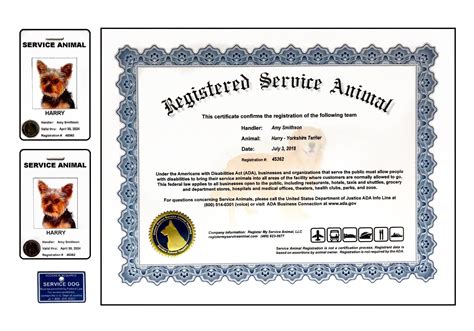 Register dog as service animal. Step 4 – Register your service dog. After you have qualified for a service dog, you can choose to register your dog on a registry like Service Dog Certifications. … 
