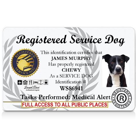 Register my dog as a service animal. However, the ADA does not require any specific training or paperwork. Service dogs can be trained by accredited organizations, individual handlers, or anything ... 