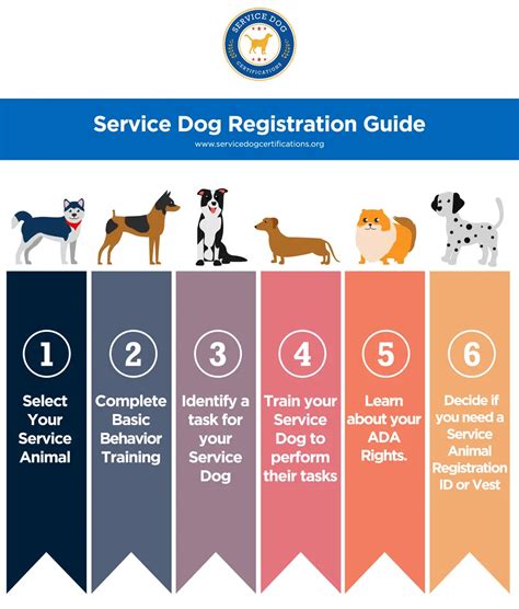 Register my dog as a service dog. Oct 17, 2023 ... According to the Americans with Disabilities Act, you don't need to register your service dog. That said, most states will require you to have ... 