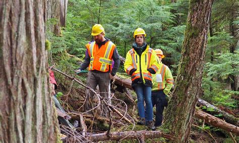 Registered professional forester bc.  Find out how you can become a register...