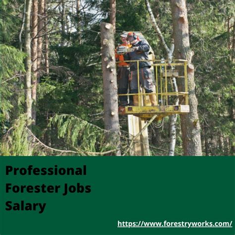 Registered professional forester salary.  REGISTERED meaning: 1.  If you ...