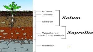 Regolith vs Soil - What