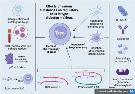 Regulatory T Cells and Diabetes Mellitus - PubMed