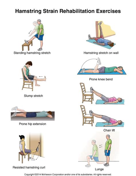 Rehabilitation exercises for hamstring tear recovery Artofit