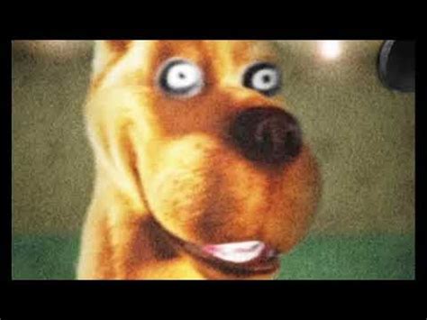 Rehehehe 1 hour. Browse the best of our 'Rehehehe / Scooby-Doo Laugh' video gallery and vote for your favorite! 