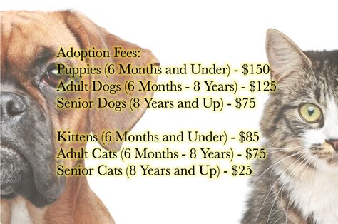Rehoming fee for dogs. Dogs (two months and older): $150. Cats & rabbits (two months and older): $150, $85 for each additional from the same household. Litters of puppies or kittens: $15 each. Due to the level of care, we provide for each pet during its stay with us we do require a surrender fee. 