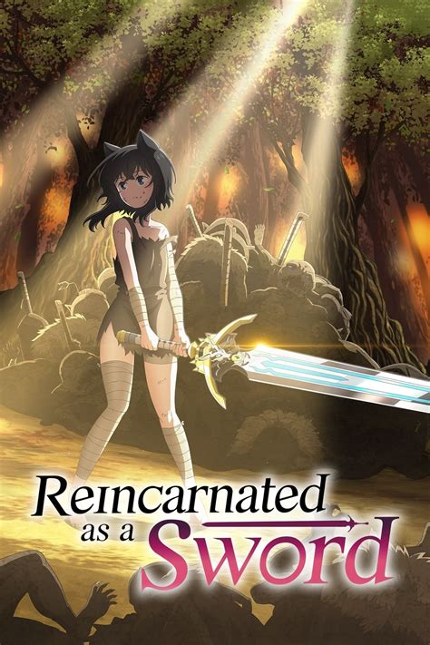 It is simply a very satisfying shounen/slice-of-life following the adventurers of a catgirl and her talking sword. Yes, her sword does happen to be a reincarnee and also serves as the narrator of the story. And yes, various villains do occasionally destroy cities and bring unfortunate nations to the brink of collapse.