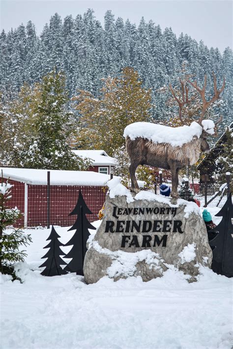 Reindeer farm leavenworth. About. Just like the good old days only better. A two horse sleigh, clean crisp winter air, the crunch of fresh snow, open meadows, snow covered trees, and the babbling waters of Beaver Creek, sleigh bells and the carol of your choice. Enjoy a hot spiced cider by the open fire. Duration: 1-2 hours. 