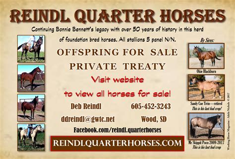 Reindl Quarter Horses & Comp Quarter Horses Sale Catalog 2024