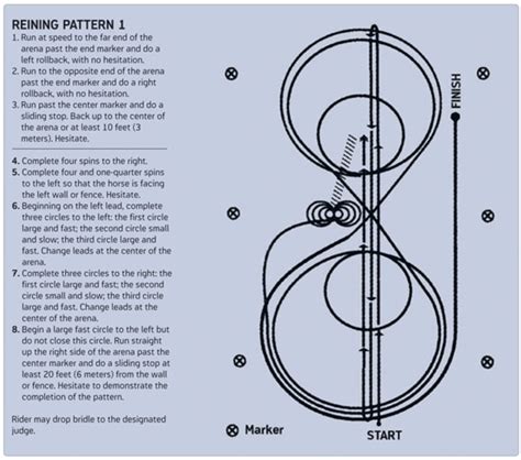 Reining Pattern 1 Smooth and Steady