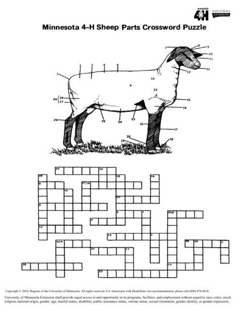 Relating To Sheep Crossword Clue 5 Letters