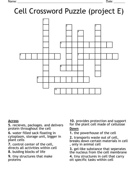 The Crossword Solver found 30 answers to "relating to cells", 8 letters crossword clue. The Crossword Solver finds answers to classic crosswords and cryptic crossword puzzles. Enter the length or pattern for better results. Click the answer to find similar crossword clues . Enter a Crossword Clue.. 