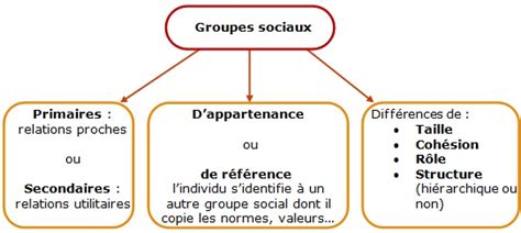 Relations entre les groupes d'âge dans la société. - Study guide for woodrow colbert smiths essentials of pharmacology for health professions 7th.