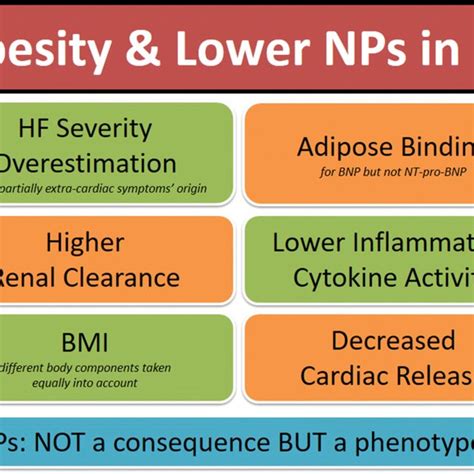 Relationship Between Obesity and B-Type Natriuretic Peptide Levels …