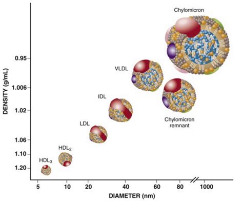 Relationship between low-density lipoprotein …