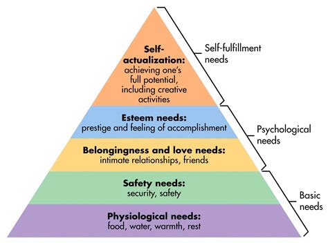 Relationship needs. Summary. Maslow's hierarchy of needs is a psychological theory based on the idea that human behavior is motivated by needs These needs must be met in order, from basic needs for survival like food, water, and shelter to higher-level needs like love and self-esteem. Maslow's theory has been criticized based on its rigidity and lack of diversity. 