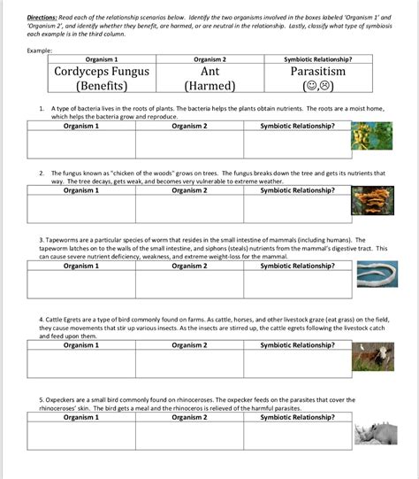 Relationships In Ecosystems Worksheet Answers