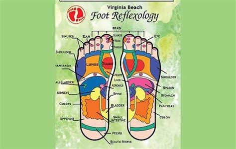 Relax the feet. Mar 3, 2017 · Foot reflexology occurs in a big and comfortable chair in a quiet room. In general, the reflexologist will wipe the feet and use either cream or powder during the session. But with Relax The Feet, your feet will be soaked in hot water and mineral salts before pressure is applied to your head, neck, and shoulders. Typically, the treatment lasts ... 