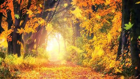 Nov 2, 2022 ... Ignoring the hot rays of summer, we are excited to welcome the chilly winds of autumn - a season full of nostalgia. Every time autumn comes, ...