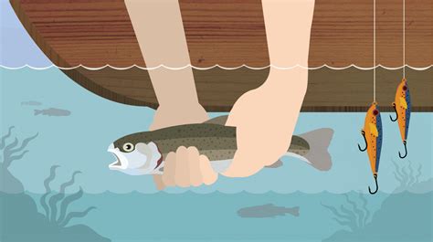 Release a catch. DFO regulations on the catch and release of Atlantic salmon and a DFO study on the effects of water temperature on salmon released by anglers + Crab fishery takes centre stage at … 