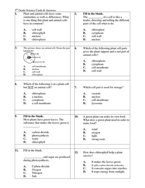Released Test Questions Science 5th Grade Answers