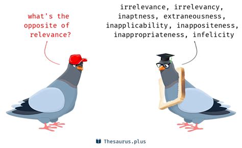 Relevance antonyms. Relevance antonyms - 34 Opposites of Relevance. irrelevance. n. irrelevancy. n. unfitness. animosity. cold-heartedness. coldheartedness. dividing line. enmity. futility. hostile … 