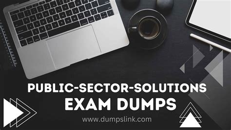 Reliable Public-Sector-Solutions Exam Dumps