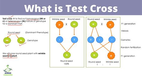 Reliable Test CRISC Test