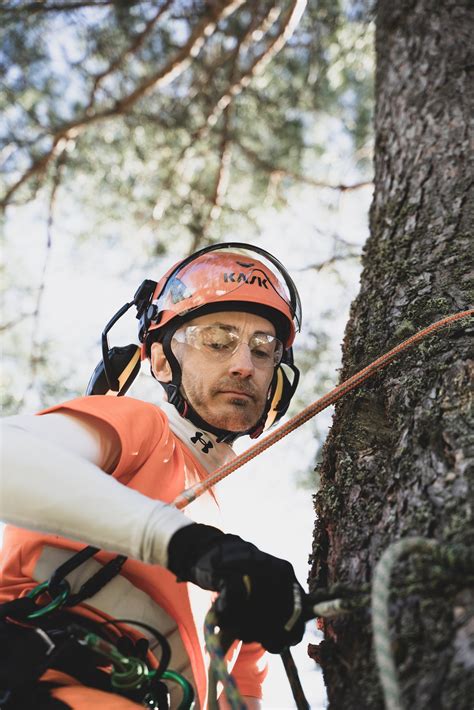 Reliable tree services.  Our highly trained, courteous technicians will get the...